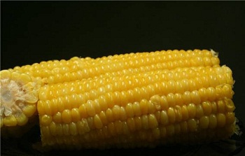 Кукуруза в початках на пару, Рецепт приготовления